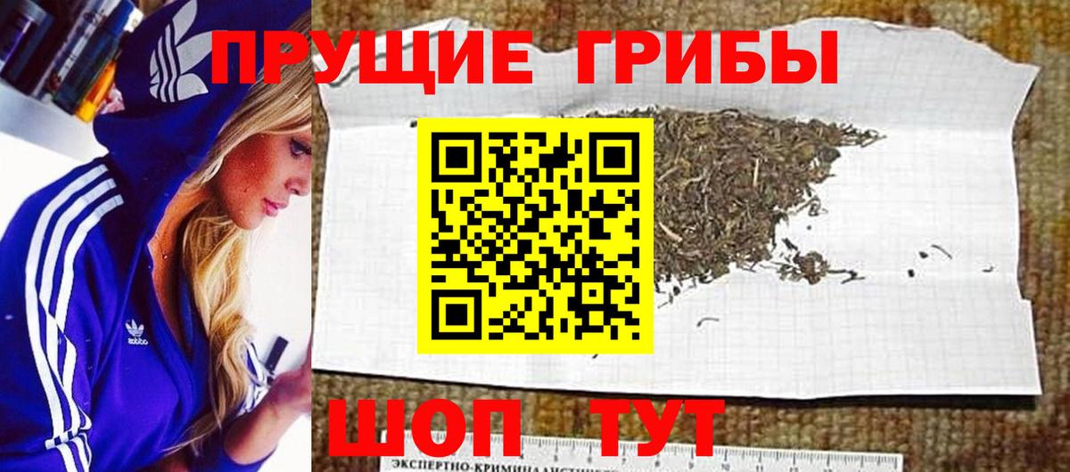 Галлюциногенные грибы MAGIC MUSHROOMS  купить наркотик  Мелеуз  Вход с VPN 